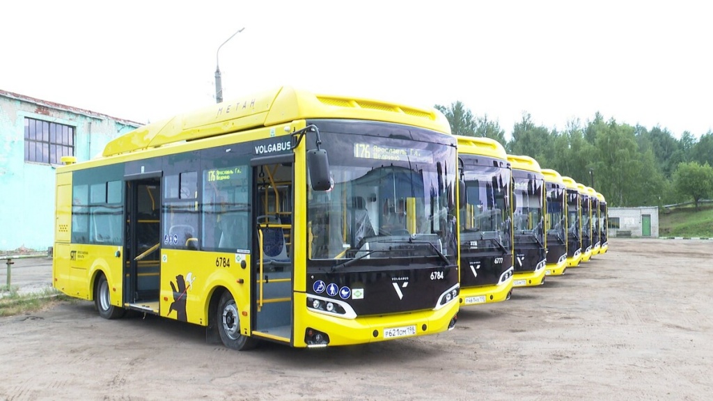 Жёлтые автобусы.jpg