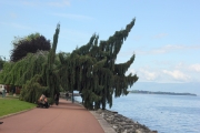 Женевское озеро. Эвиан. Франция.